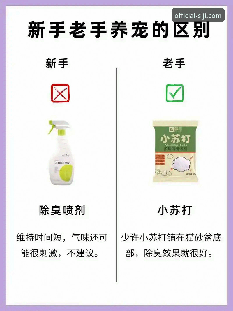四季如何下载 掌握四季体育平台下载的实用技巧,新手老手都适用的必备知识